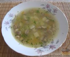 Грибной суп с куриным бульоном
