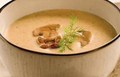 Рецепт приготовления грибного супа пюре